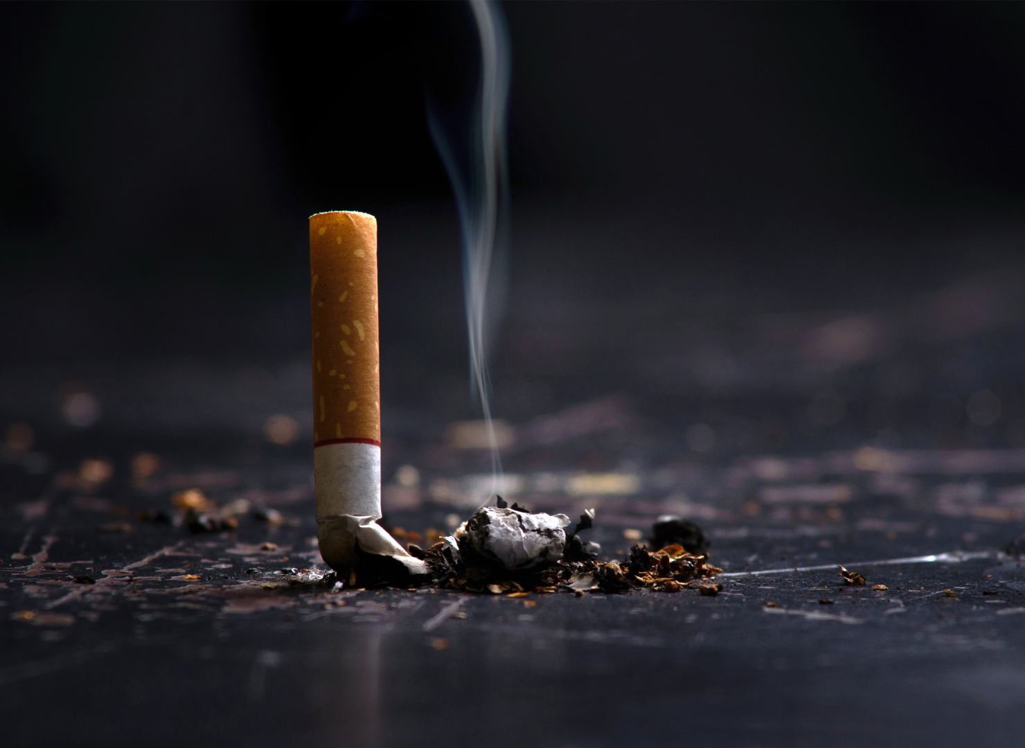 can dogs have tobacco Why Smoking Is Bad And Dangerous For Dogs